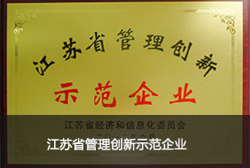 江蘇省管理創(chuàng)新示范企業(yè).jpg